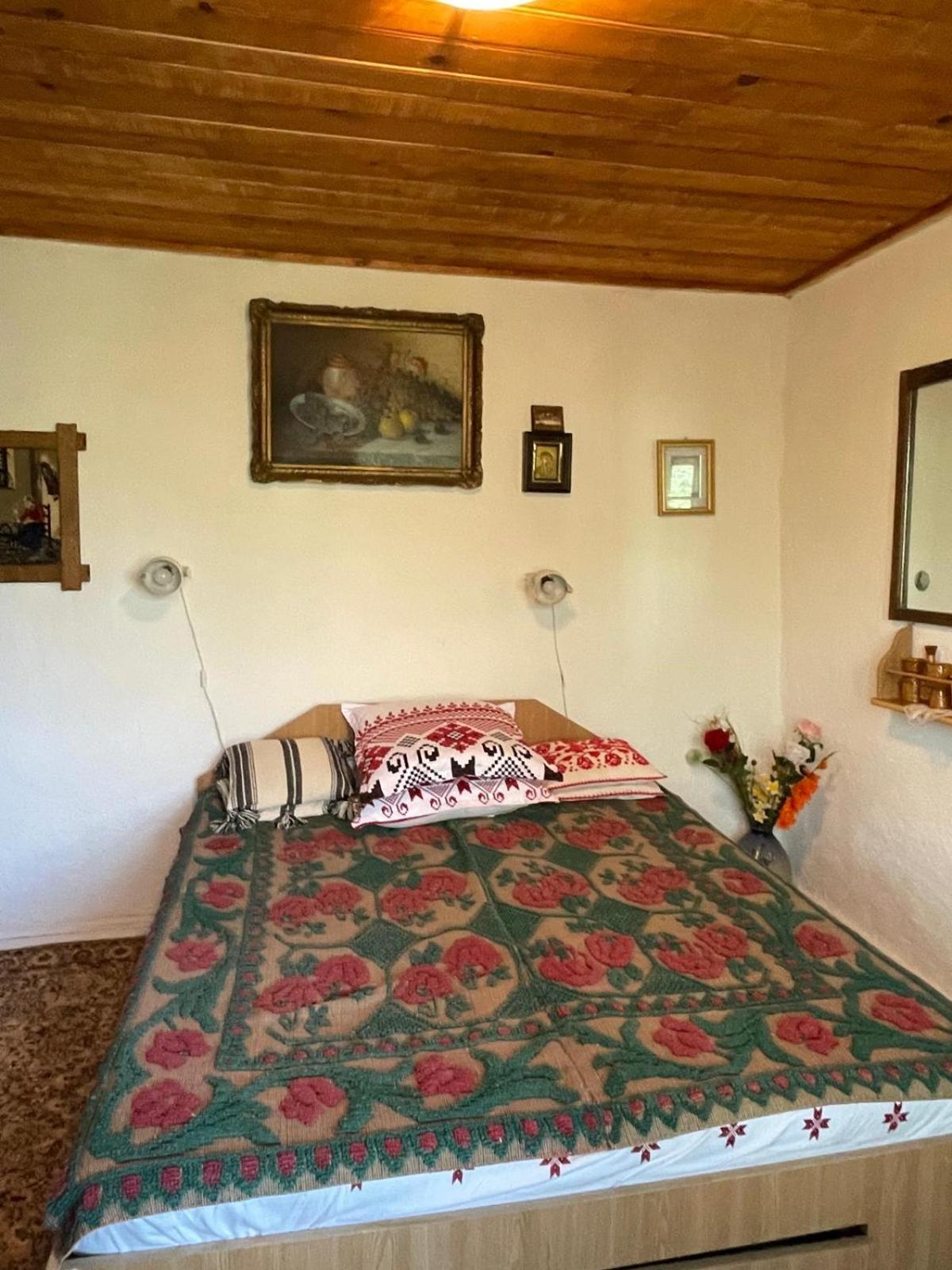 ホテル Casuta Fa Rai Din Ce Ai ブザウ エクステリア 写真